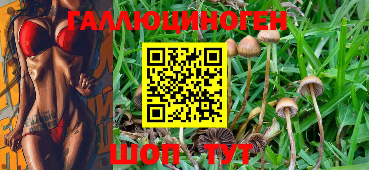 Сколько стоит  Конопля  Мефедрон  Вход с VPN  Меф кристаллы  NBOMe  Дедовск  КОКАИН  Гашиш 