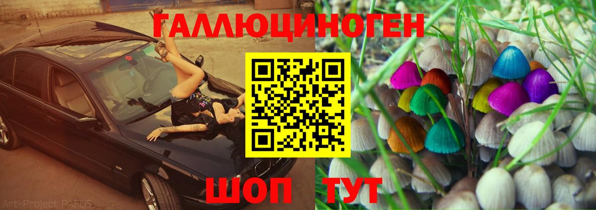 Дедовск  Псилоцибиновые грибы Psilocybe  Галлюциногенные грибы GOLDEN TEACHER  дарнет шоп  Вход с VPN 
